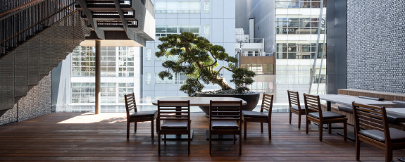 図版：TORAYA Ginza Buildingのメインイメージ