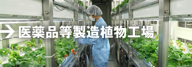 医薬品等製造植物工場