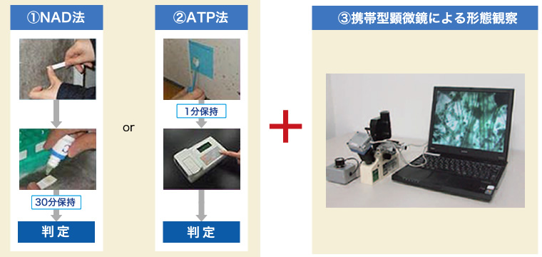 カビ迅速診断技術