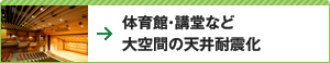 体育館・講堂など大空間の天井耐震化