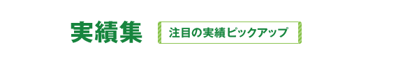 実績集 注目の実績ピックアップ