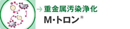 重金属汚染浄化　M・トロン