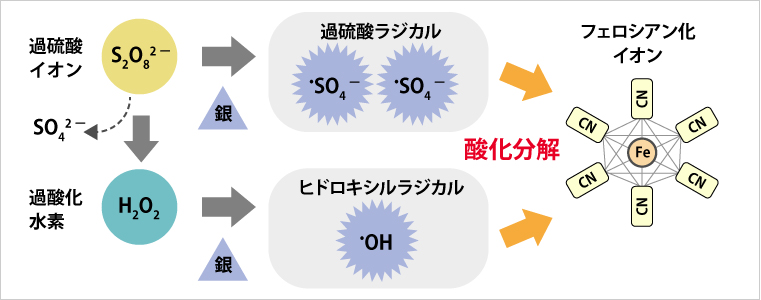 図版：浄化原理