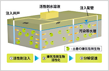図版：バイオレメディエーション（VOC 汚染）概念図