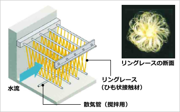 図版：リングレース構造図