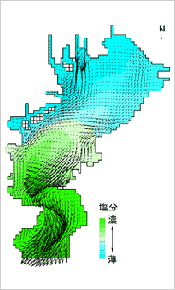 図版：流動解析