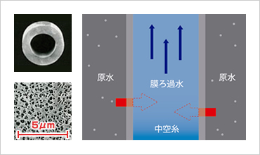 図版：中空糸の断面（左上）、表面（左下）、概念図（右）