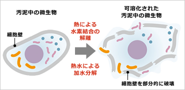 図版：汚泥の可溶化イメージ