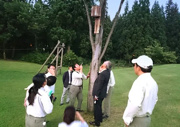 図版：バットボックス設置状況の確認（日没直後）
