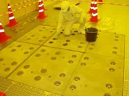 図版：施工状況