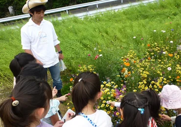 図版：蜜源を確認する子どもたち