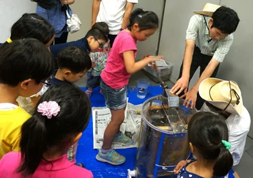 図版：採蜜体験をする子どもたち