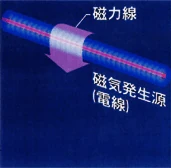 図版：遮蔽なし