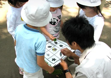 図版：ゲームを通して植物や自然環境について学ぶ