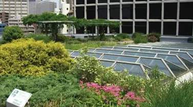 図版：赤坂KIビル屋上庭園
