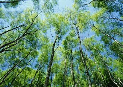 図版：省エネルギー・環境対策