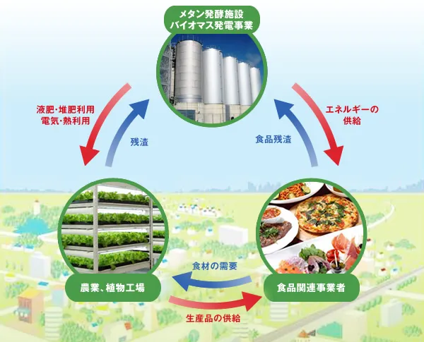 図版：バイオマス資源循環のイメージ
