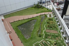 図版：8F屋上に整備した農園と水田