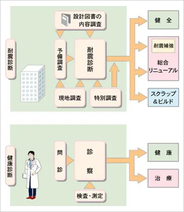 建物耐震診断の流れと健康診断の流れの比較
