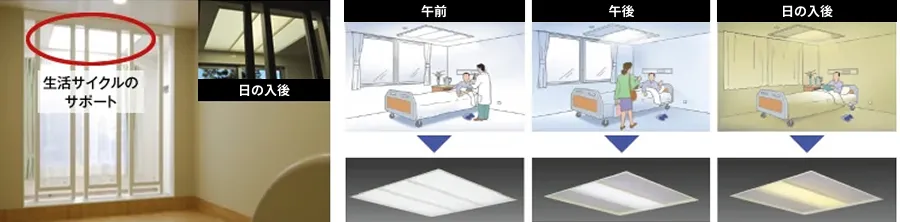 サーカディアン証明