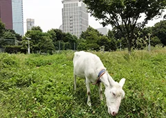 生き物除草&reg;