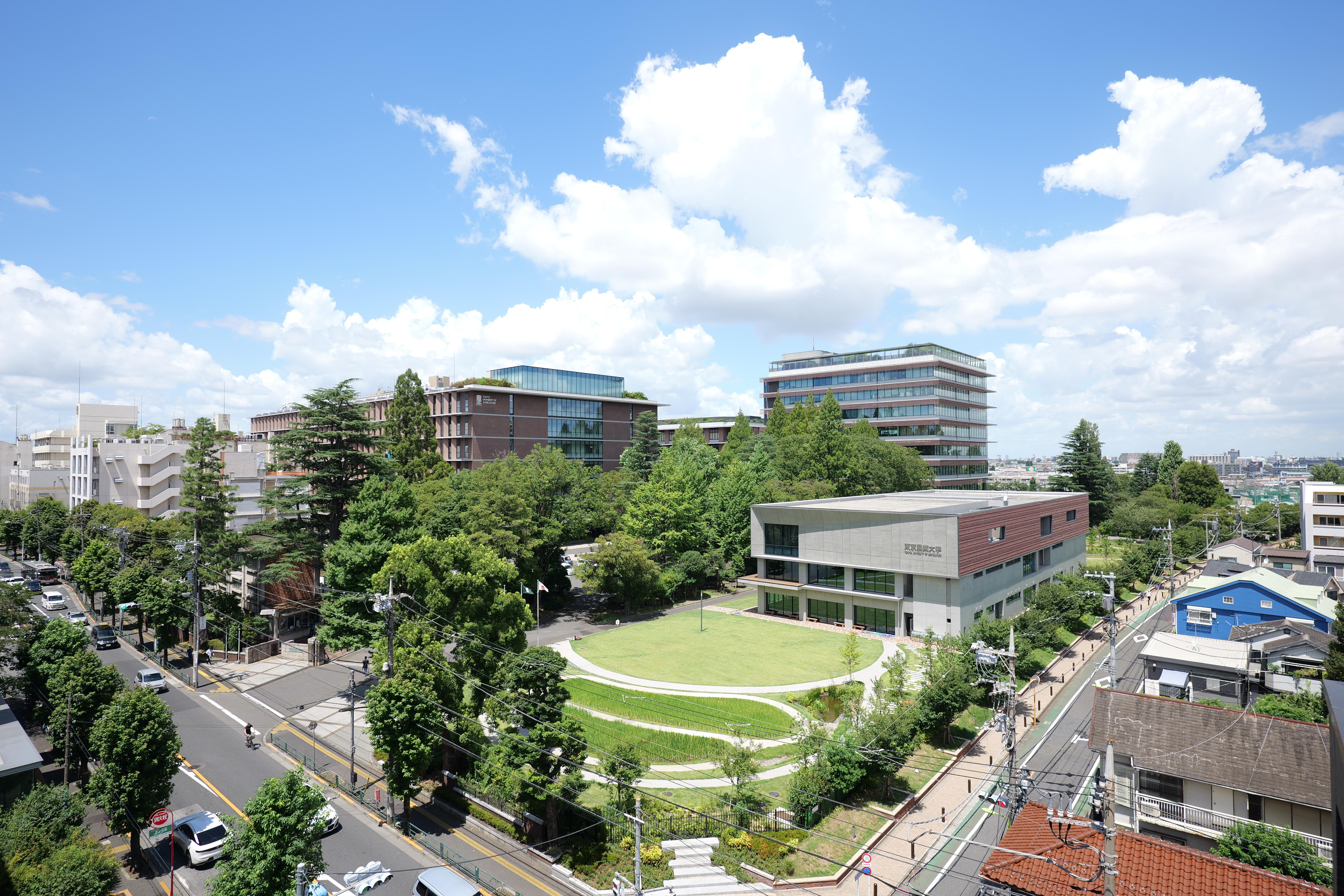 図版：「農と水の森」大学造園科学科の研究室等によるランドスケープ