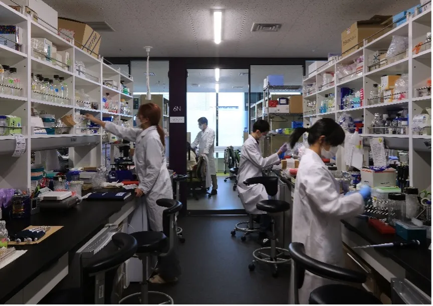 図版：視線が抜け透明性の高い基礎・臨床系オープンラボ