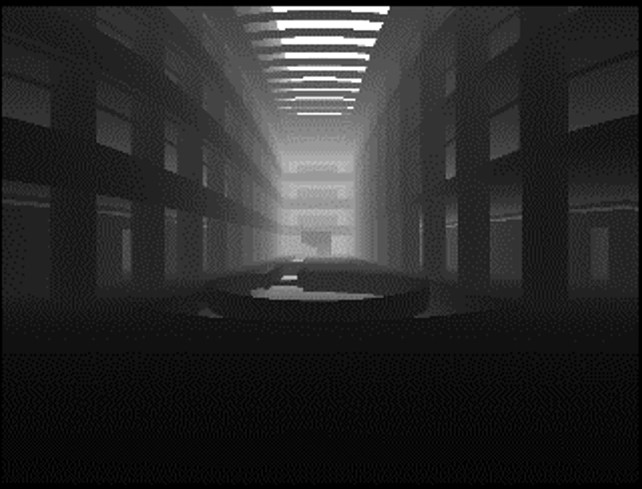 図版：可視容積の算出のためのパース