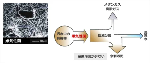 図版：嫌気性処理のイメージ