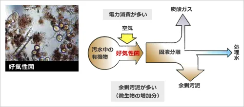 図版：好気性処理のイメージ